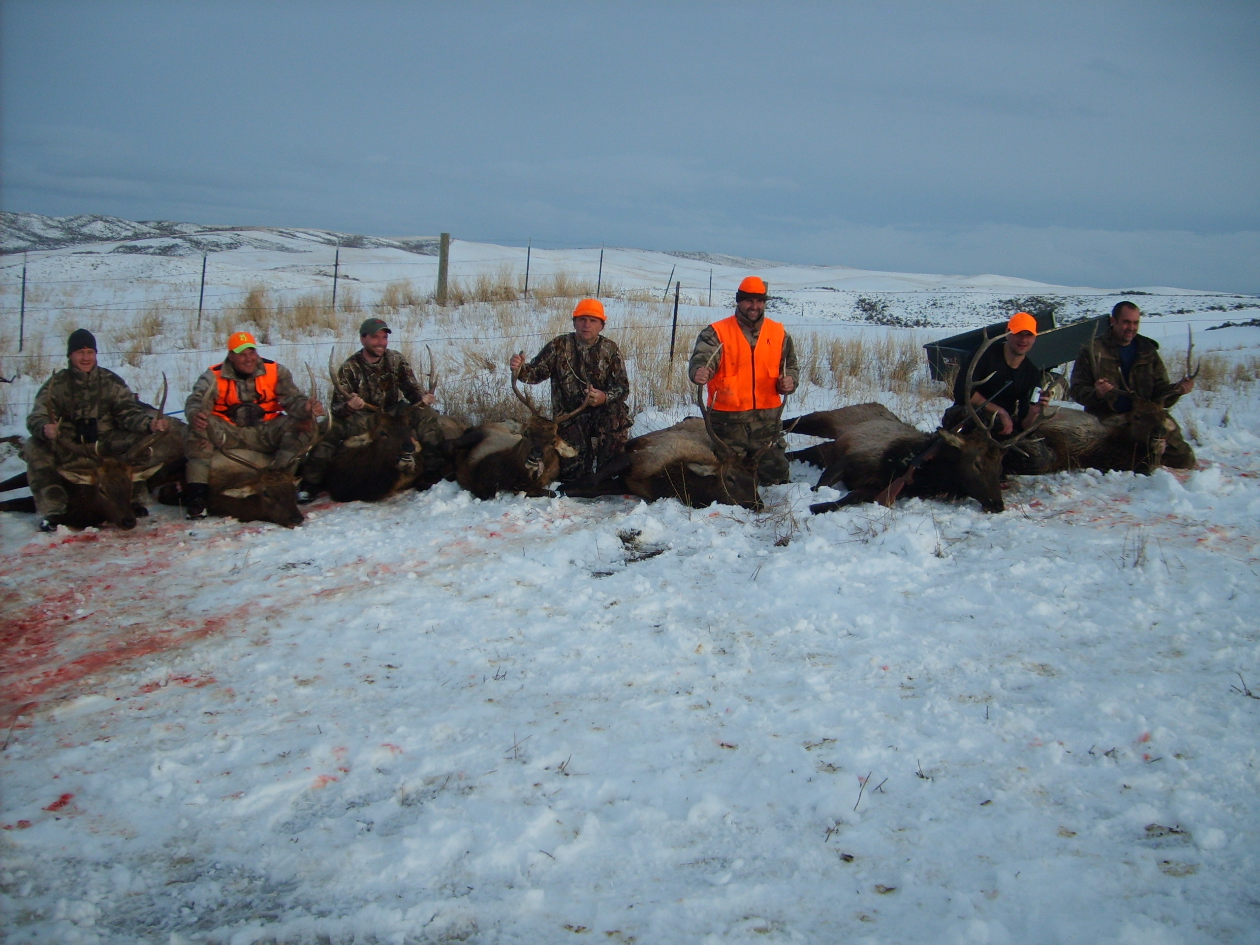 The entire group of 7 hunters scored in 3 days!